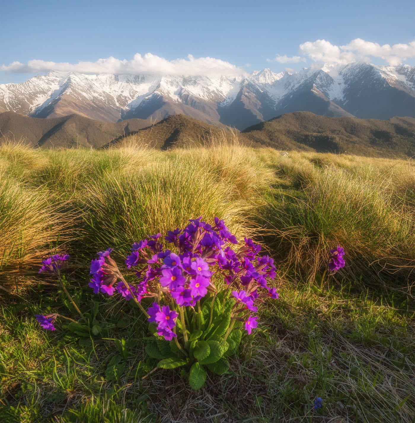 Весна в горах Ингушетии Кавказ ингушетия заповедник эрзи весна фототур андрей грачёв
