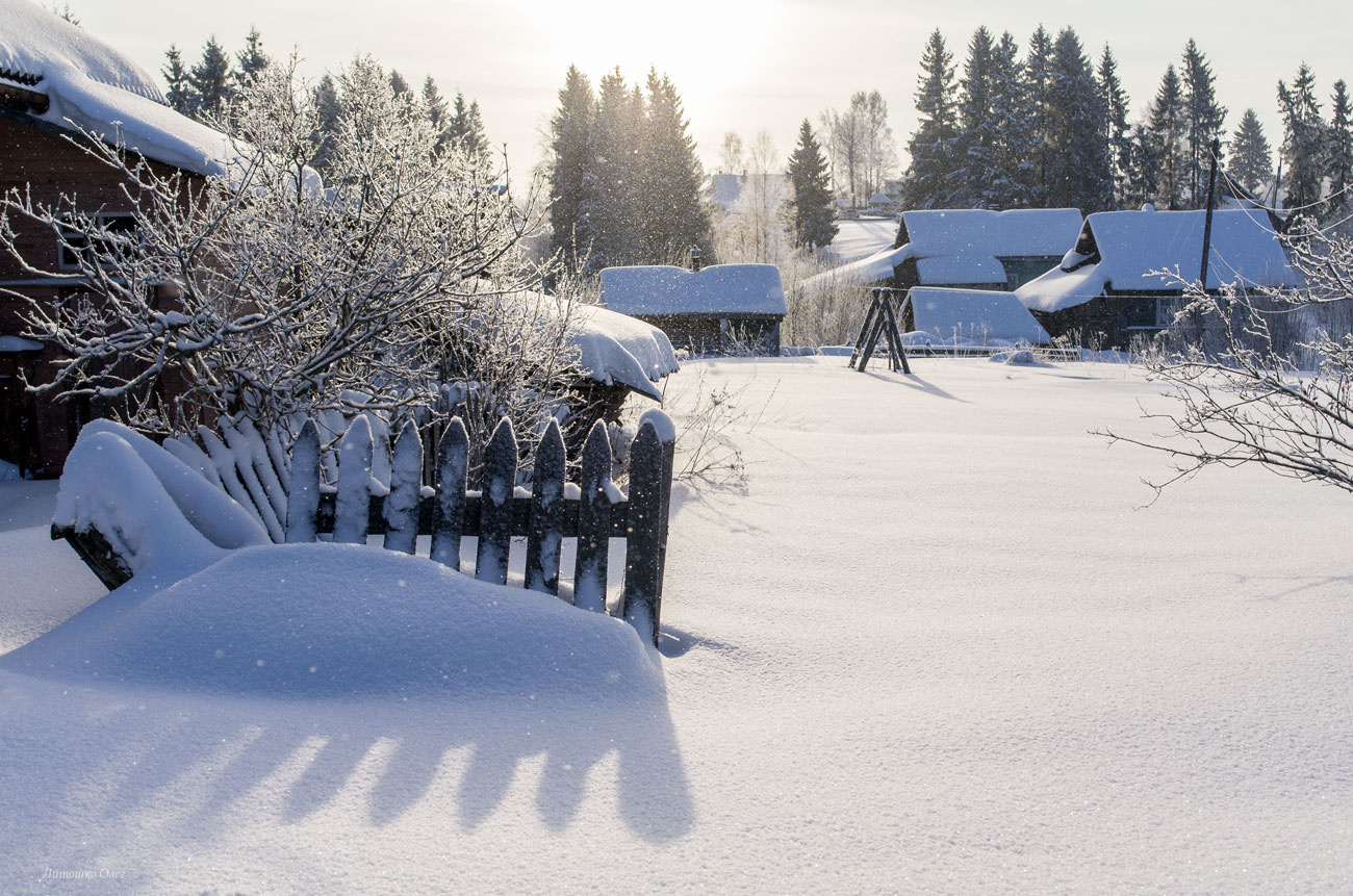 Зима в деревне. зима природа пейзаж деревне снег в