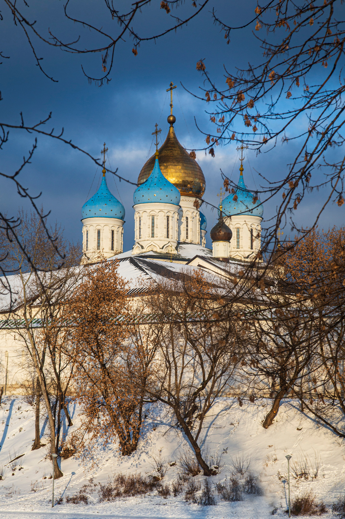 Купола Новоспасского монастыря на фоне зимнего неба Новоспасский монастырь