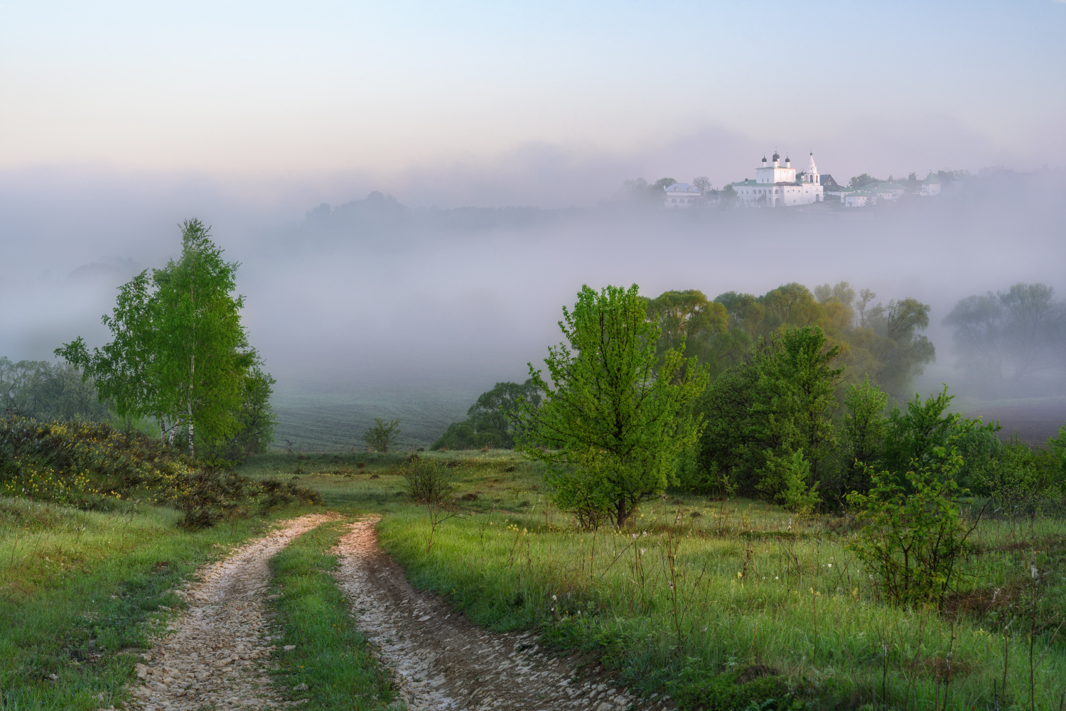 Dreamy road одоев анастасово утро рассвет туман сиреневый холмы май весна природа россии туманный тульская область село монастырь храм