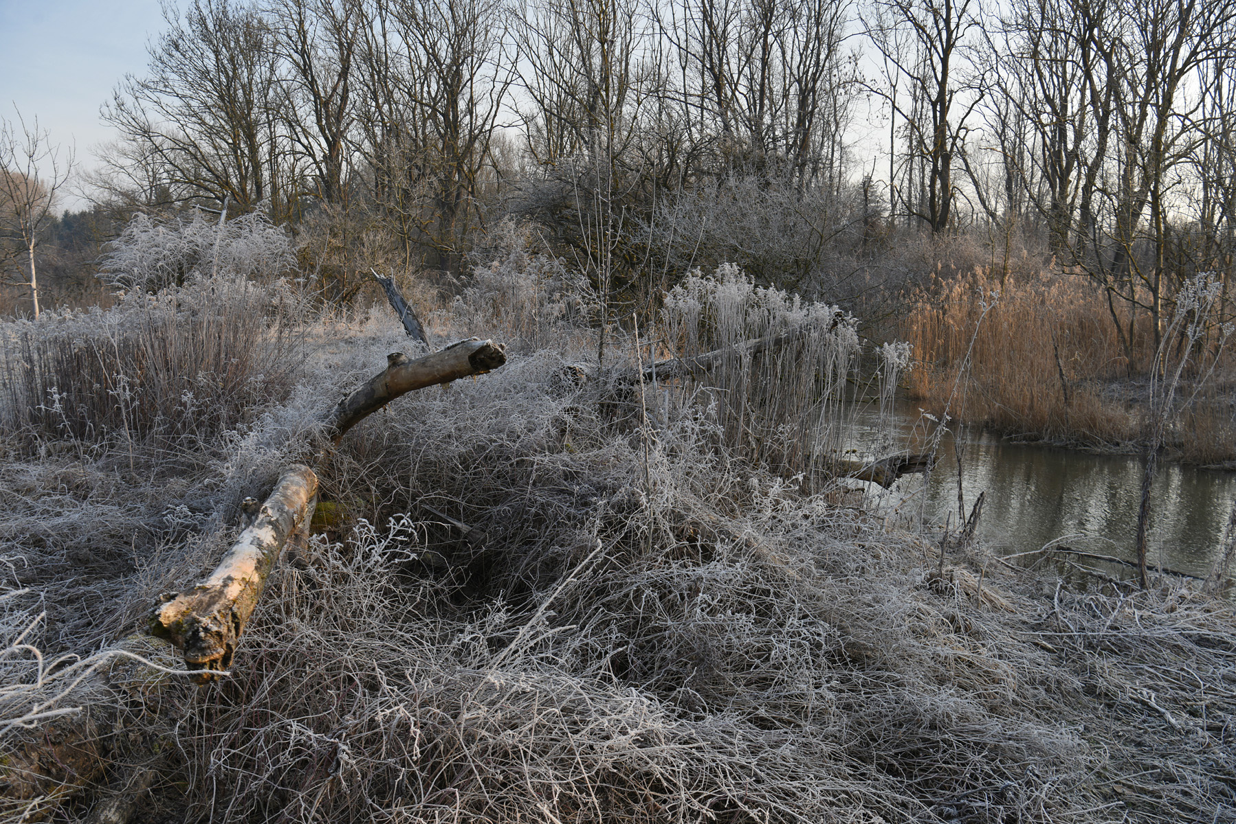 У ручья утро заморозок ручей