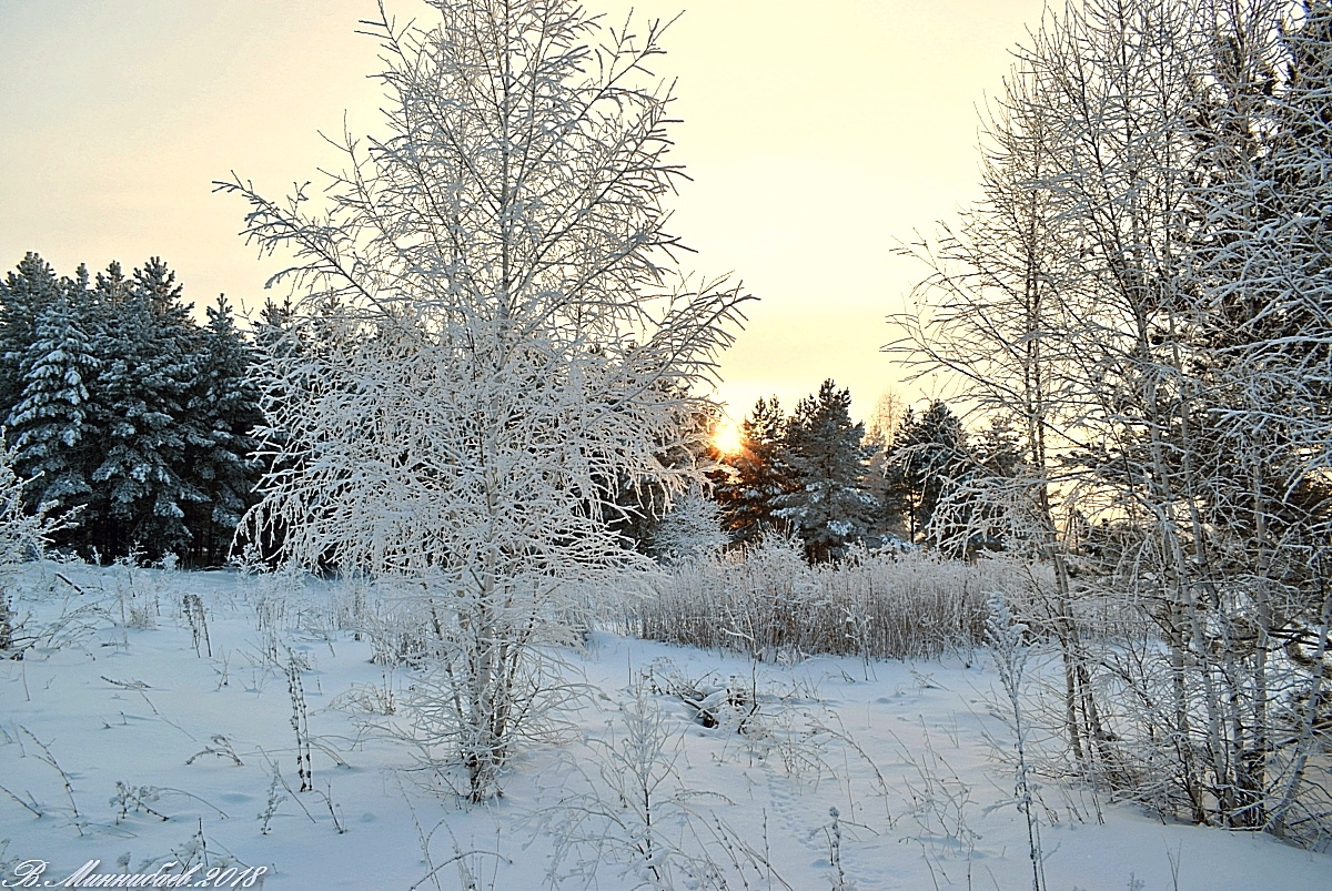 ***Утро зимнее... зима деревья утро