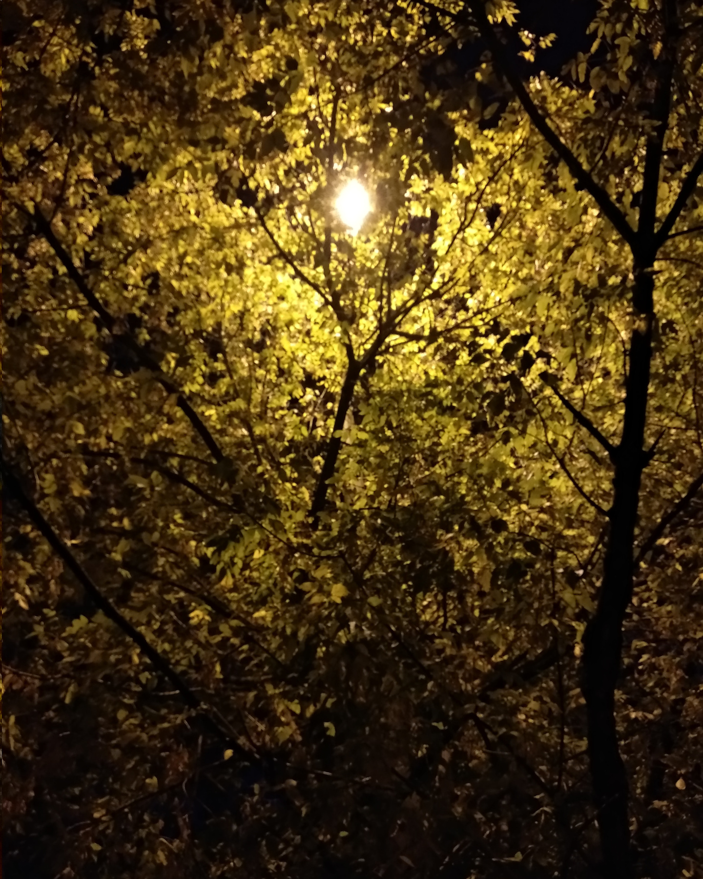 Ночь, улица, фонарь... 