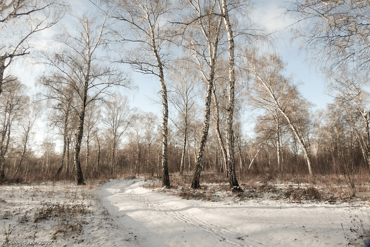 Скоро зима пейзаж природа осень лес снег.дорога