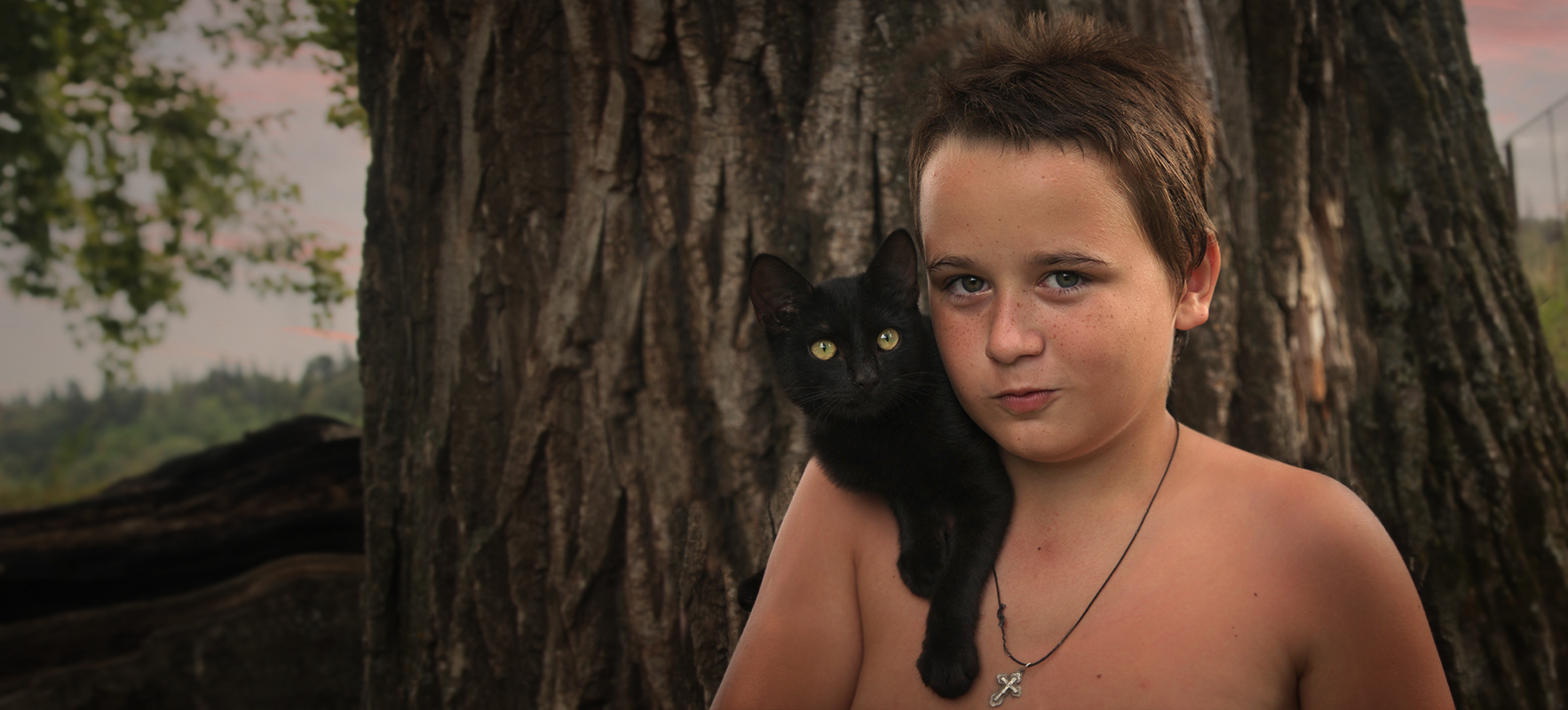 Сказка про черного котенка и мальчика 