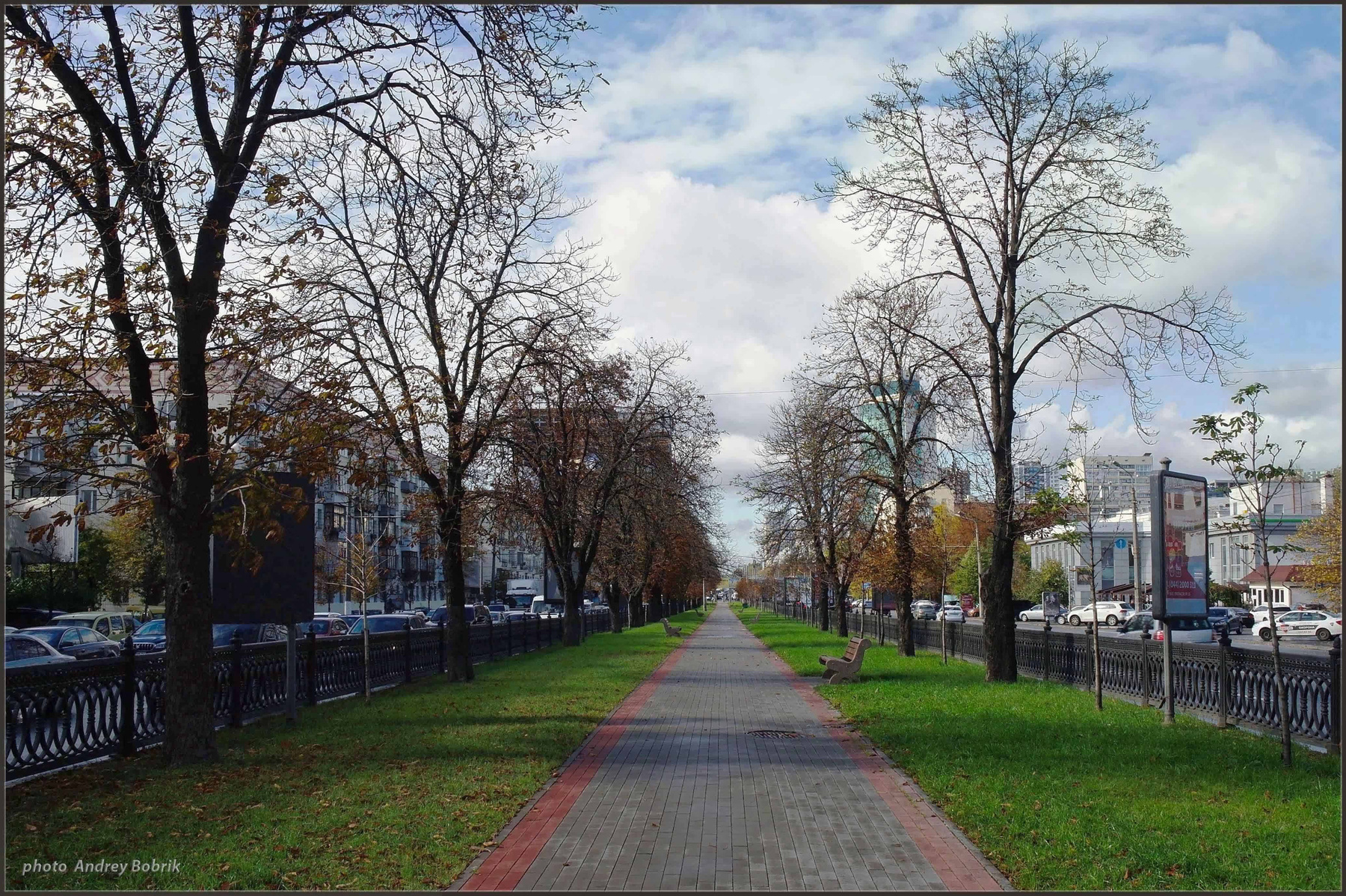 Осенний бульвар Украина Киев Проспект Перемоги Победы бульвар осень