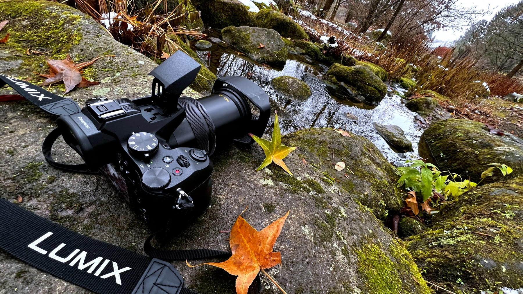 Я и мой Друг /Panassonik Lumix/ мой Друг Panassonik Lumix удалить редактировать