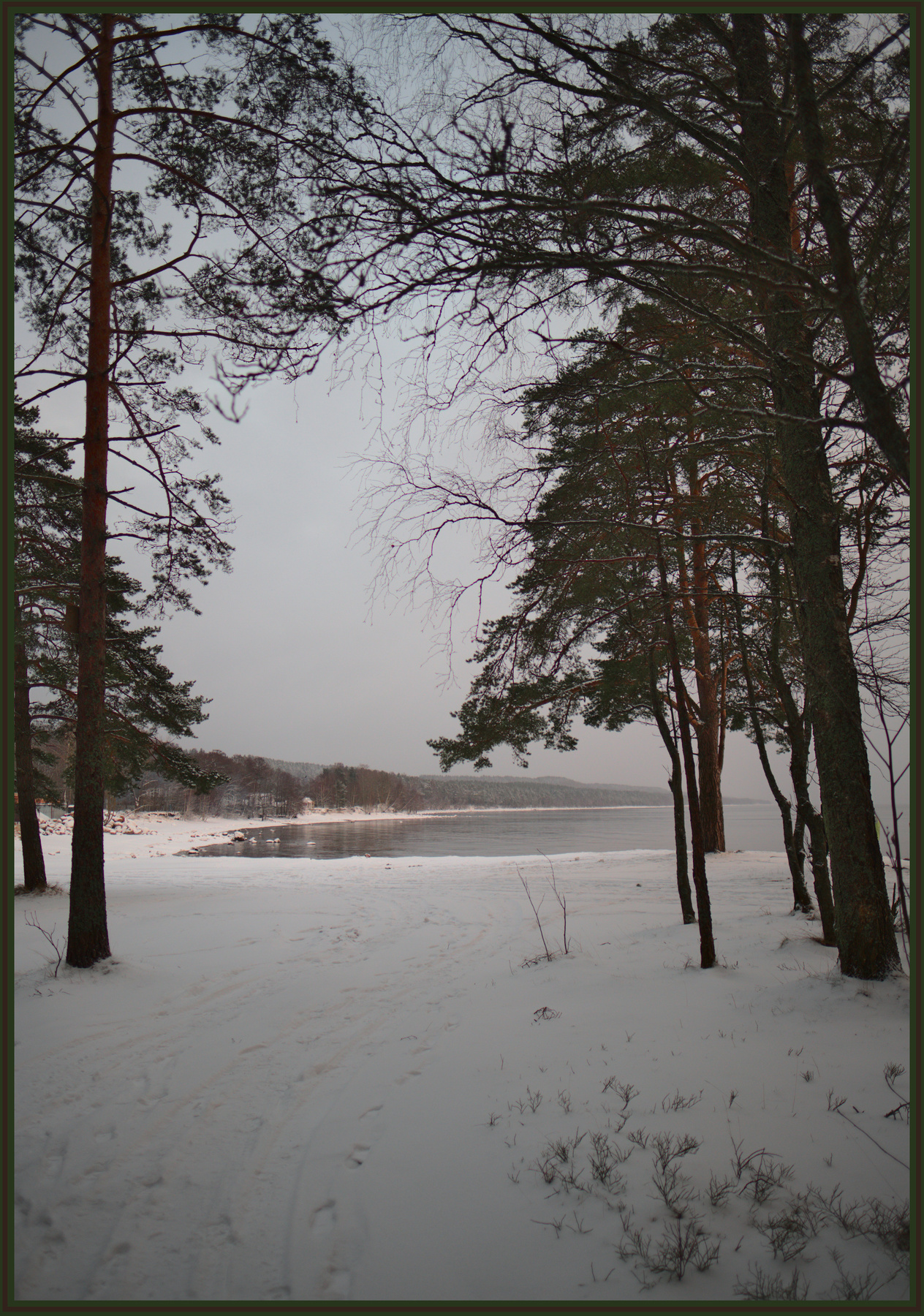 Море солнцестояния (2) море зима финский залив