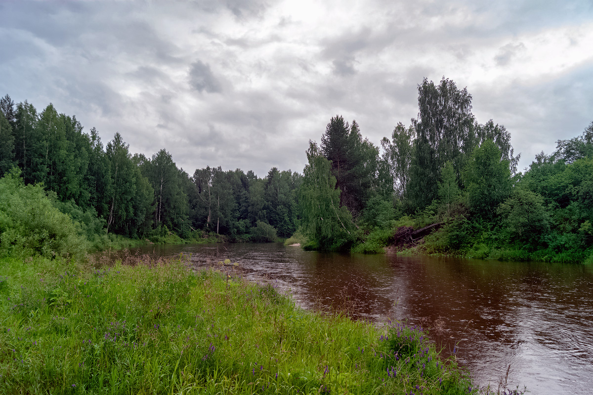 река Нельша нельша река природа пейзаж лето 2019 нея объезд вода дождь