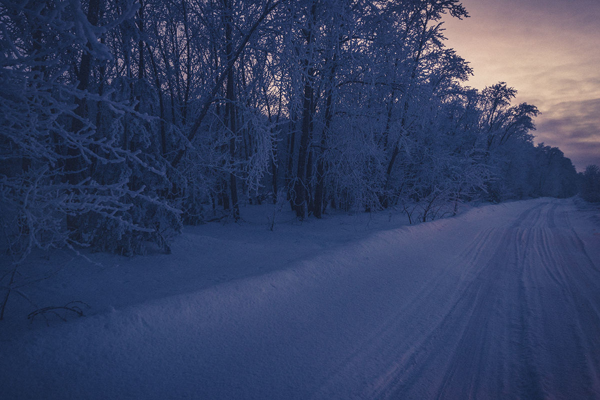 Дорога домой... Зима ночь дорога