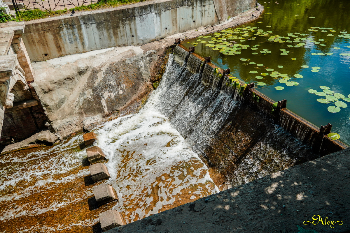 Плотина в Кузьминках плотина парк вода лето