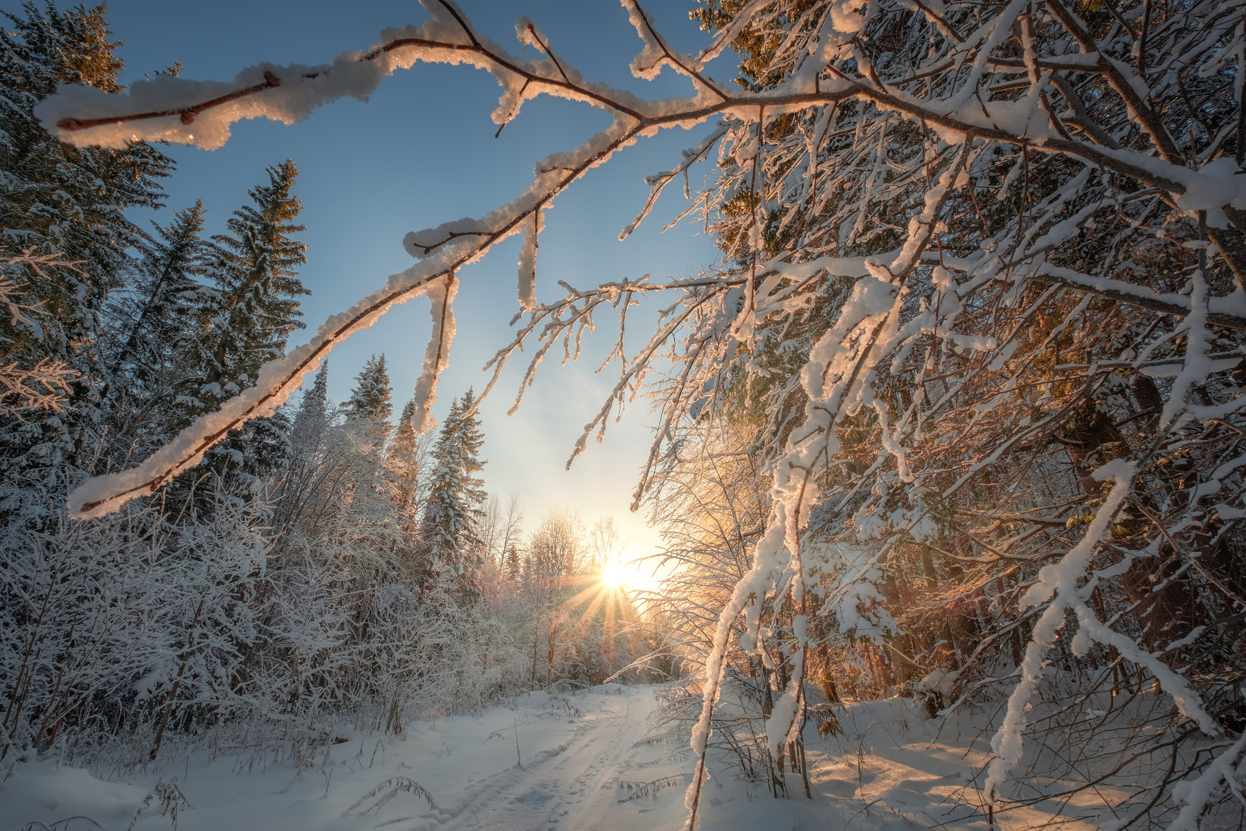 Уральское солнце чусовая пермский край просека зима мороз солнце утро лес деревья