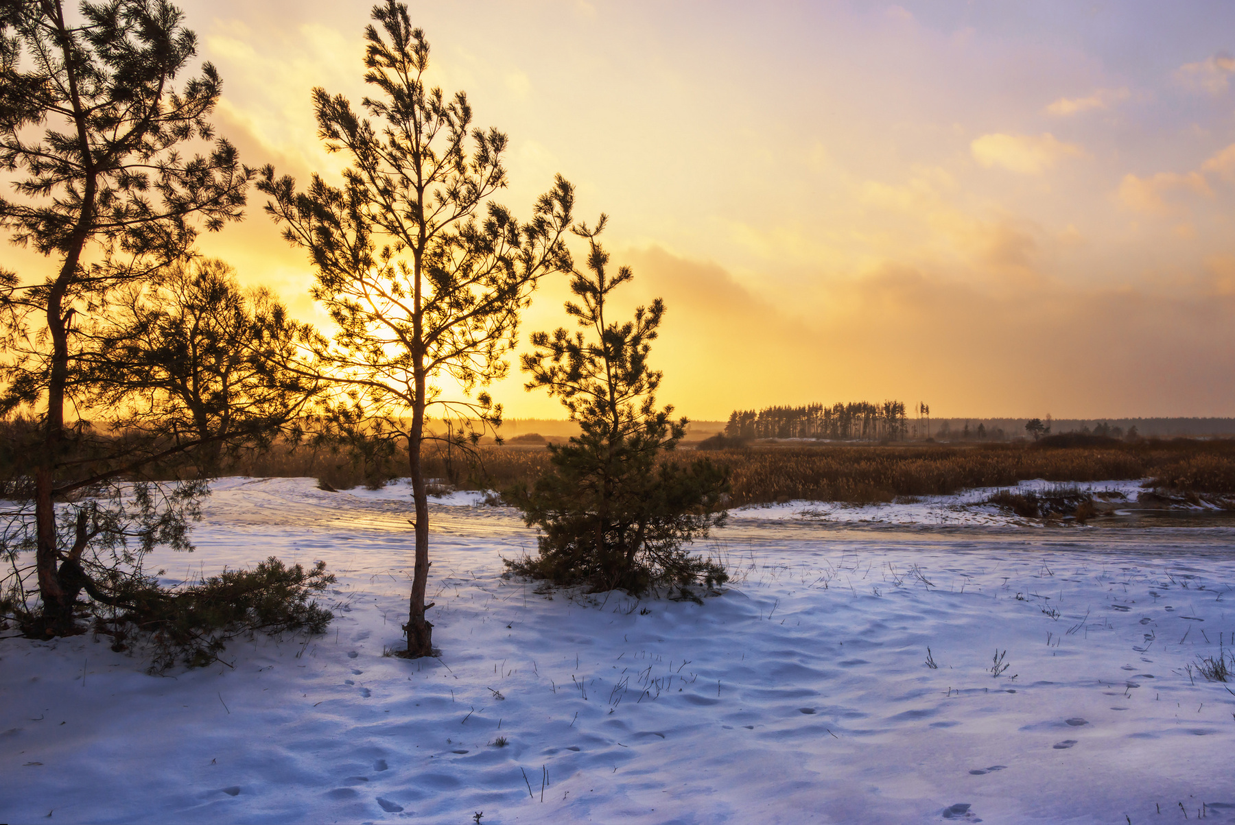 К морозу пейзаж природа зима вечер закат луг река Усманка снег солнце облака сосны