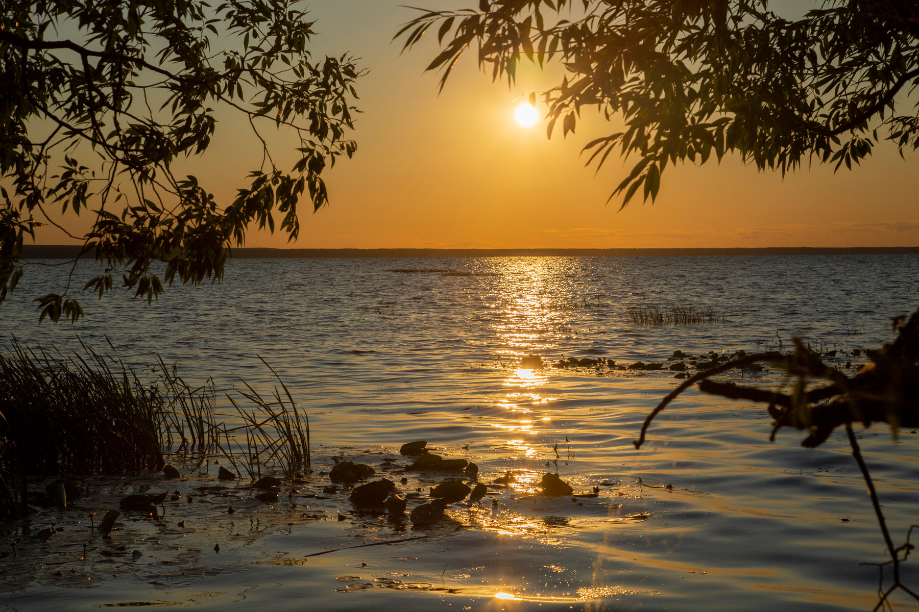 Закат на Плещеевом озере Плещеево озеро