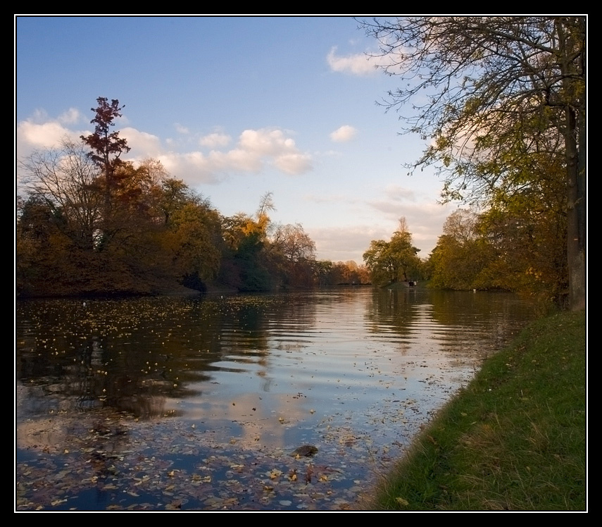 Осень булонского леса. осень пруд лес