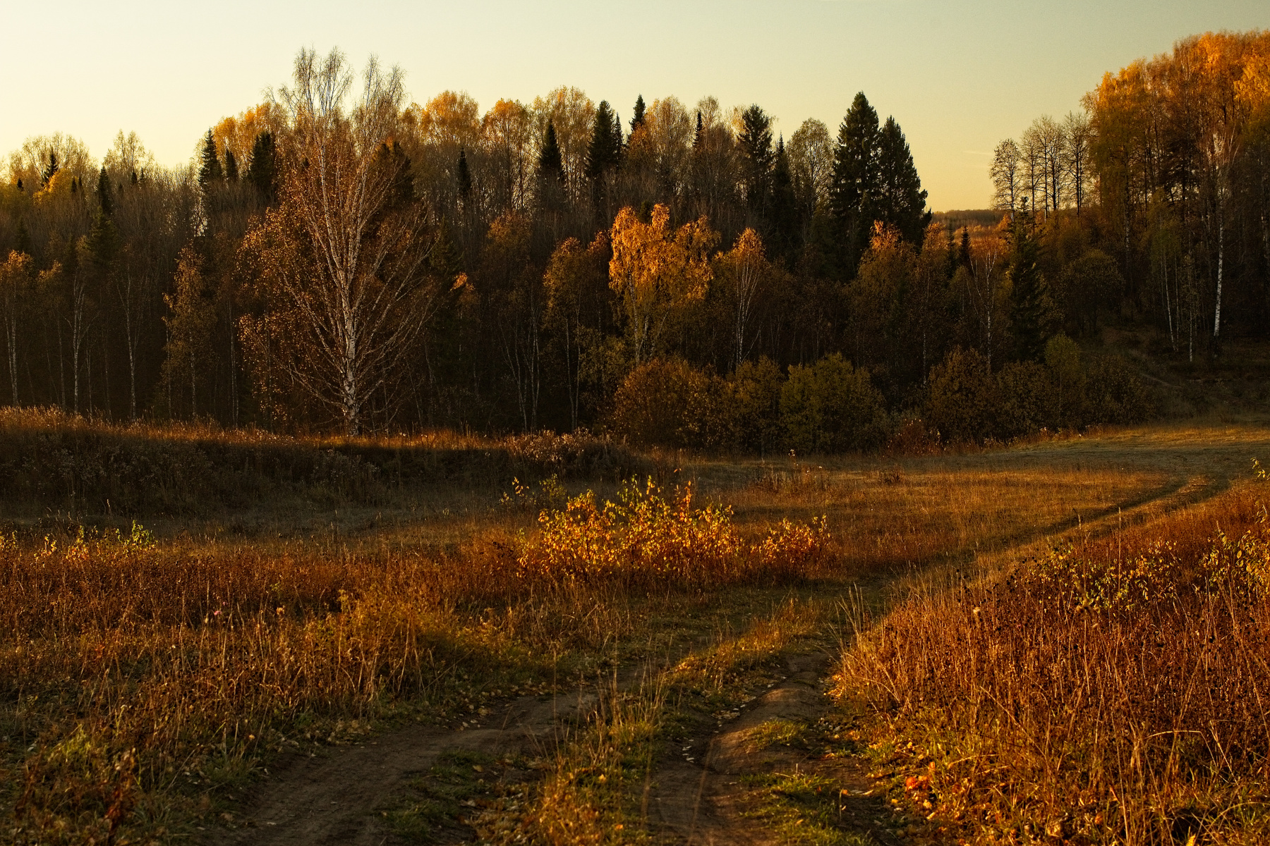 осенними дорогами) осень солнце утро сентябрь дорога тени тайга сибирь