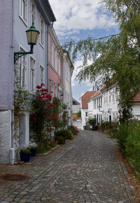 Цветущий город норвегия берген брусчатка дома озеленение