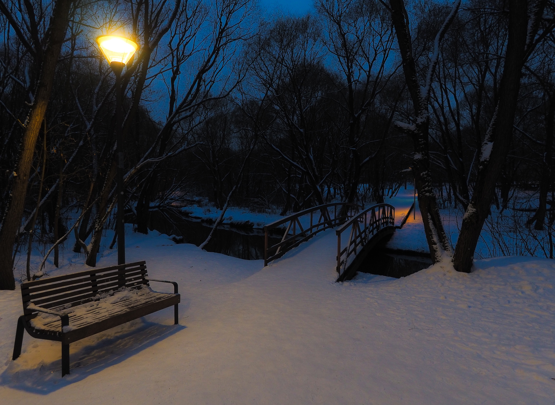***Зимний Вечер в Парке 