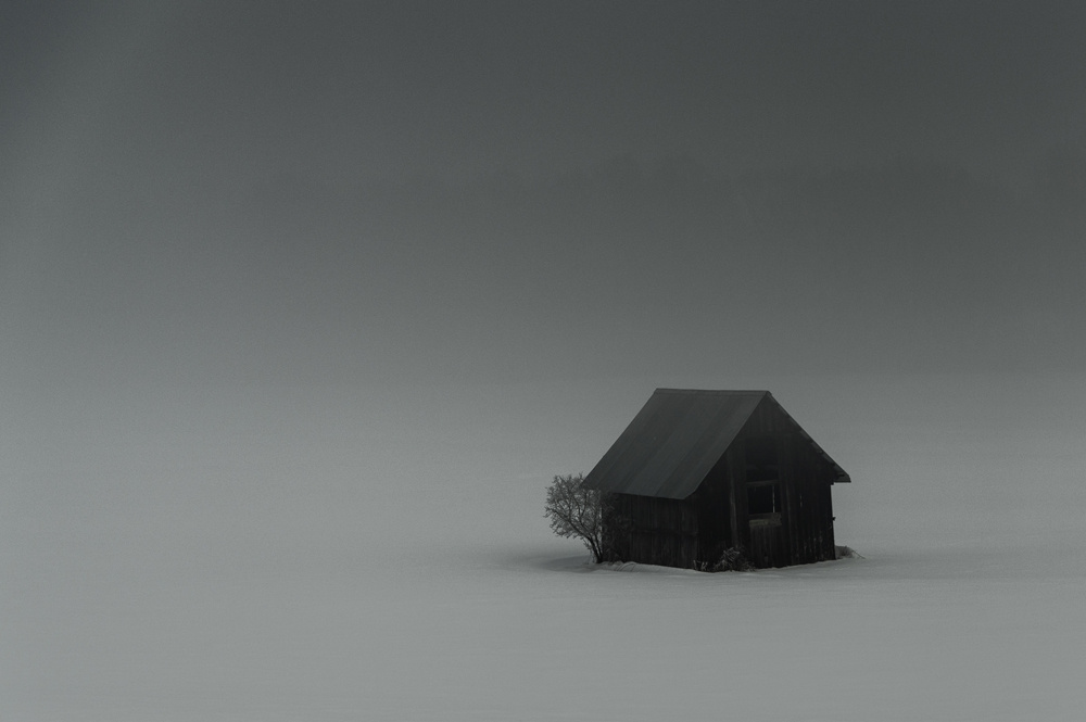 Одиночество дом снег зима туман пейзаж природа