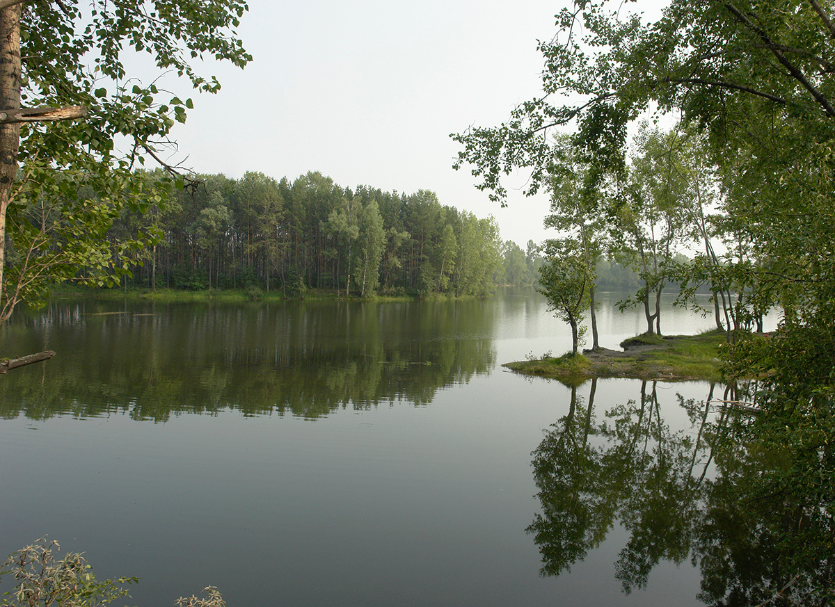 Тишина лес озеро природа пейзаж