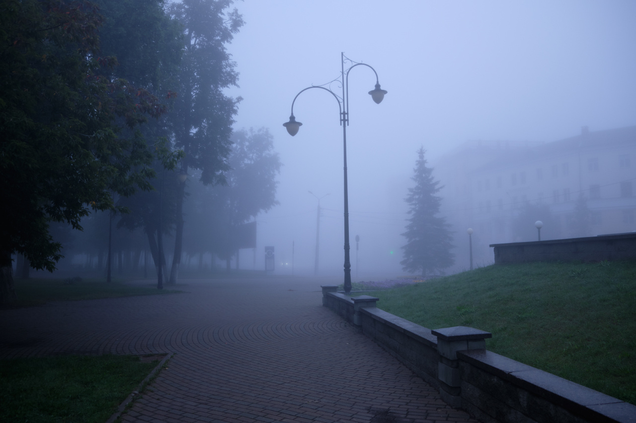 Ранним утром 14 утро туман улица деревья фонари дом