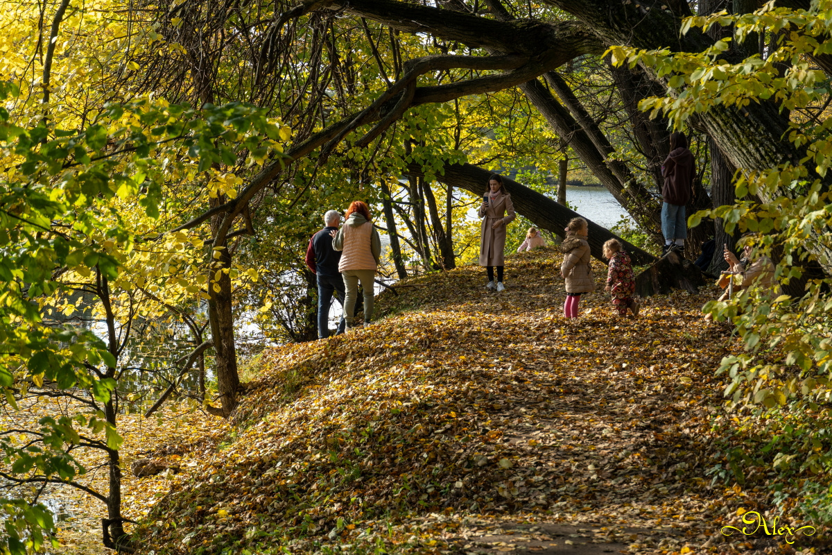 Вьётся в воздухе листва, в жёлтых листьях вся Москва осень природа парк пруд люди октябрь