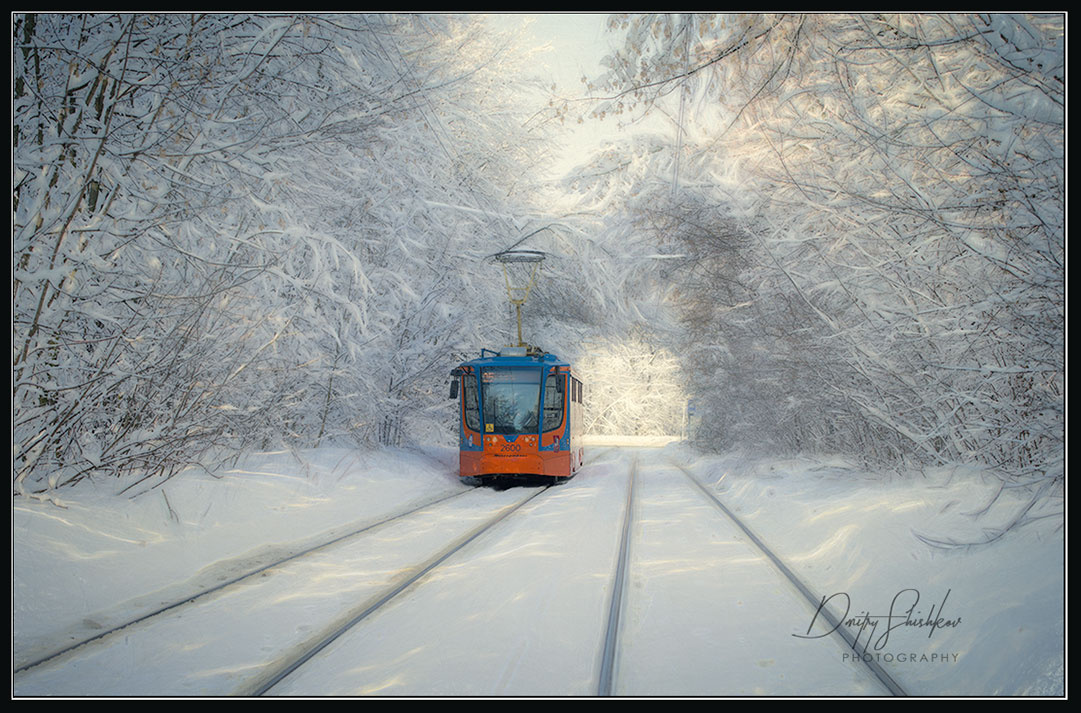 Московский трамвай после сильного снегопада  в Москве. москва сокольники снегопад снег парк лес