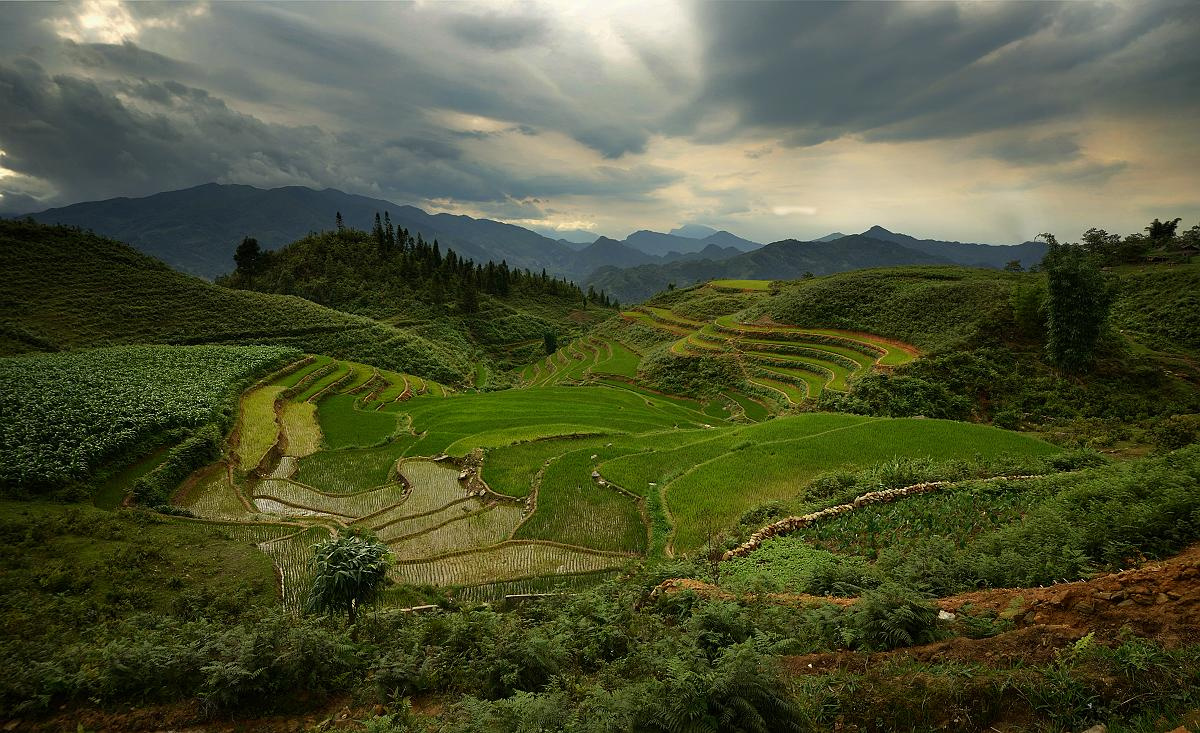 Высокогорный пейзаж Вьетнама Вьетнам, Сапа, рисовые террасы