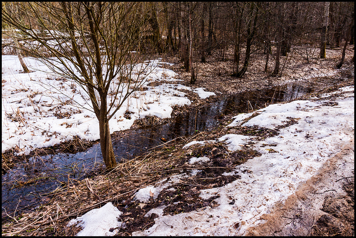 Еще в полях белеет снег ... Измайловский лес