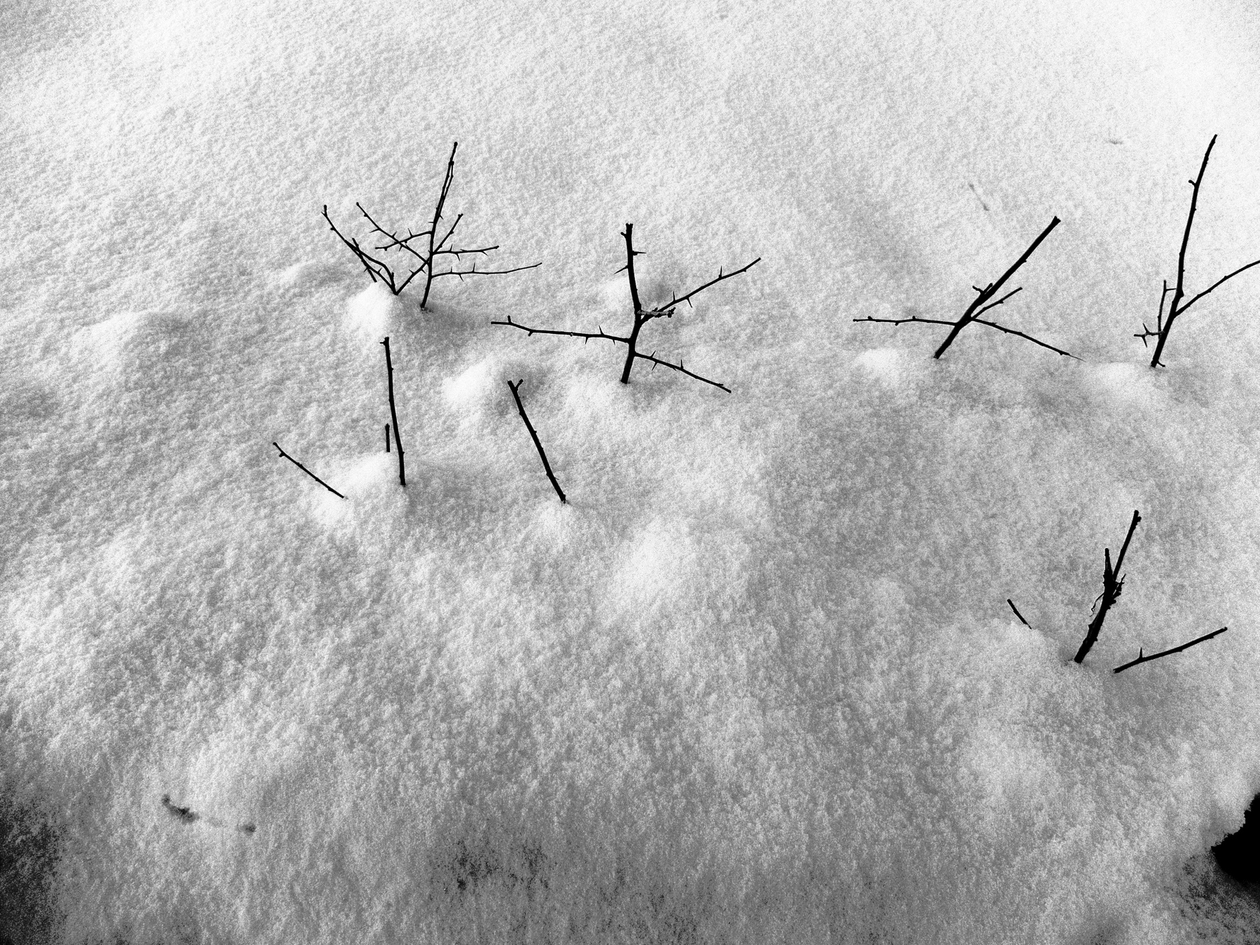 Снег вечер снег фактура Шварц