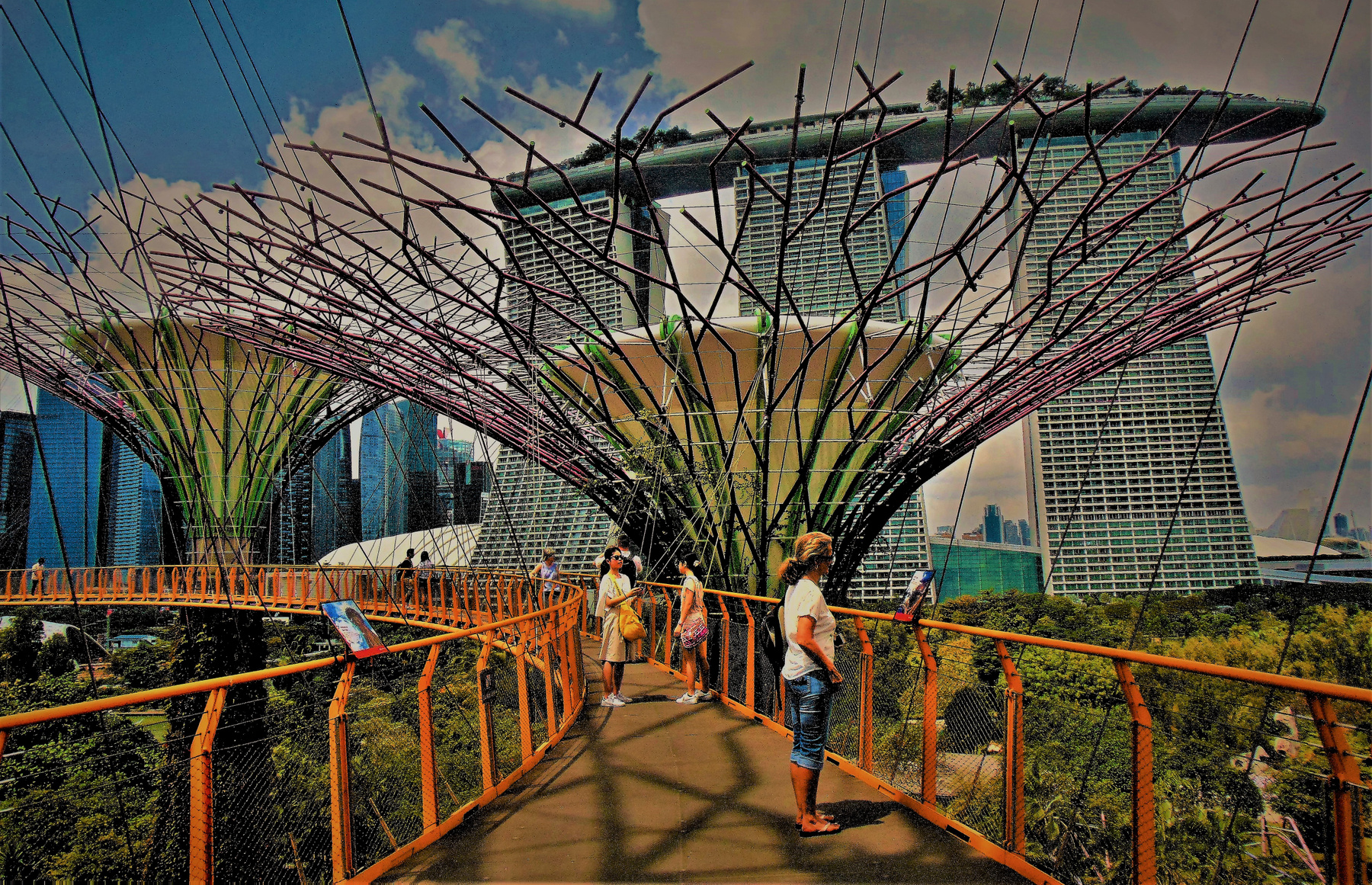 Смотровая площадка  "сады у залива" Сингапур сады гостиница Марина Бэй Сэнд