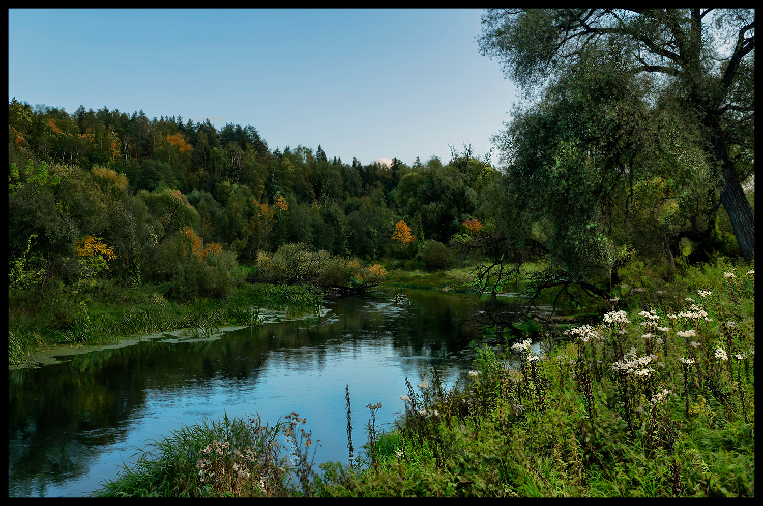 Приметы осени осень река лес