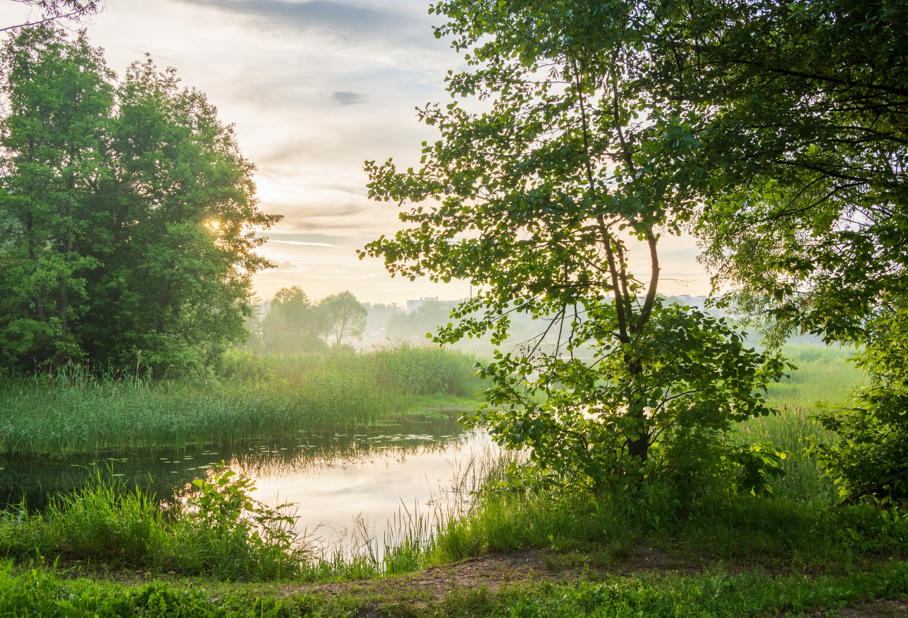 Вечерняя дымка над рекой лето вечер природа пейзаж дымка солнце река Усманка Воронеж