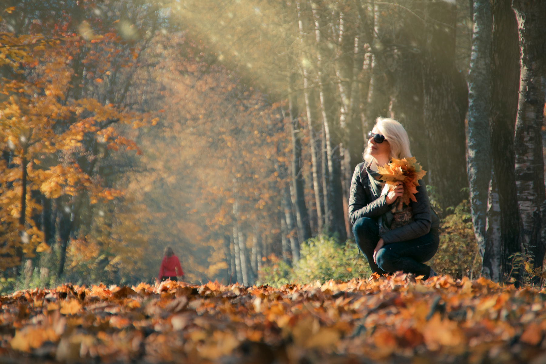 Осенний свет. осень витебск парк мазурино