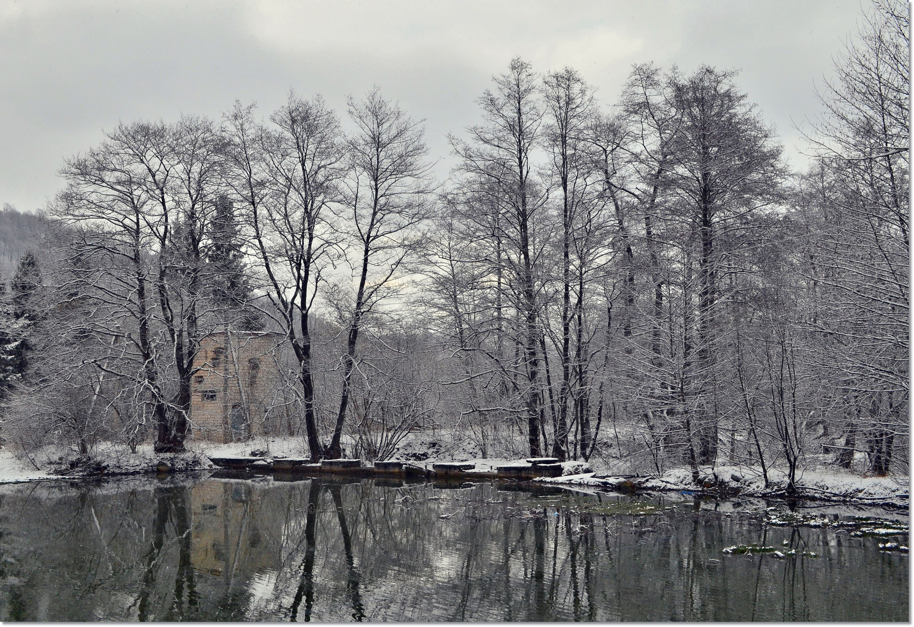 Одноцветный, поблекший мир..... зима Кавказ Кабардино-Балкария пасмурно природа красота пейзаж