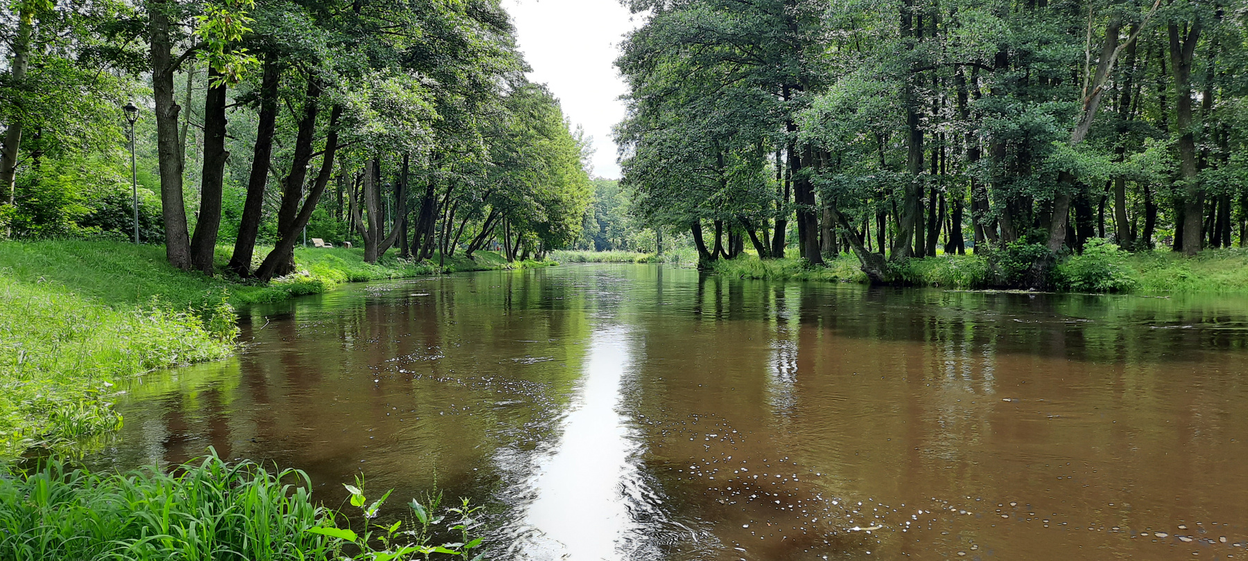Река Езерка река Польша