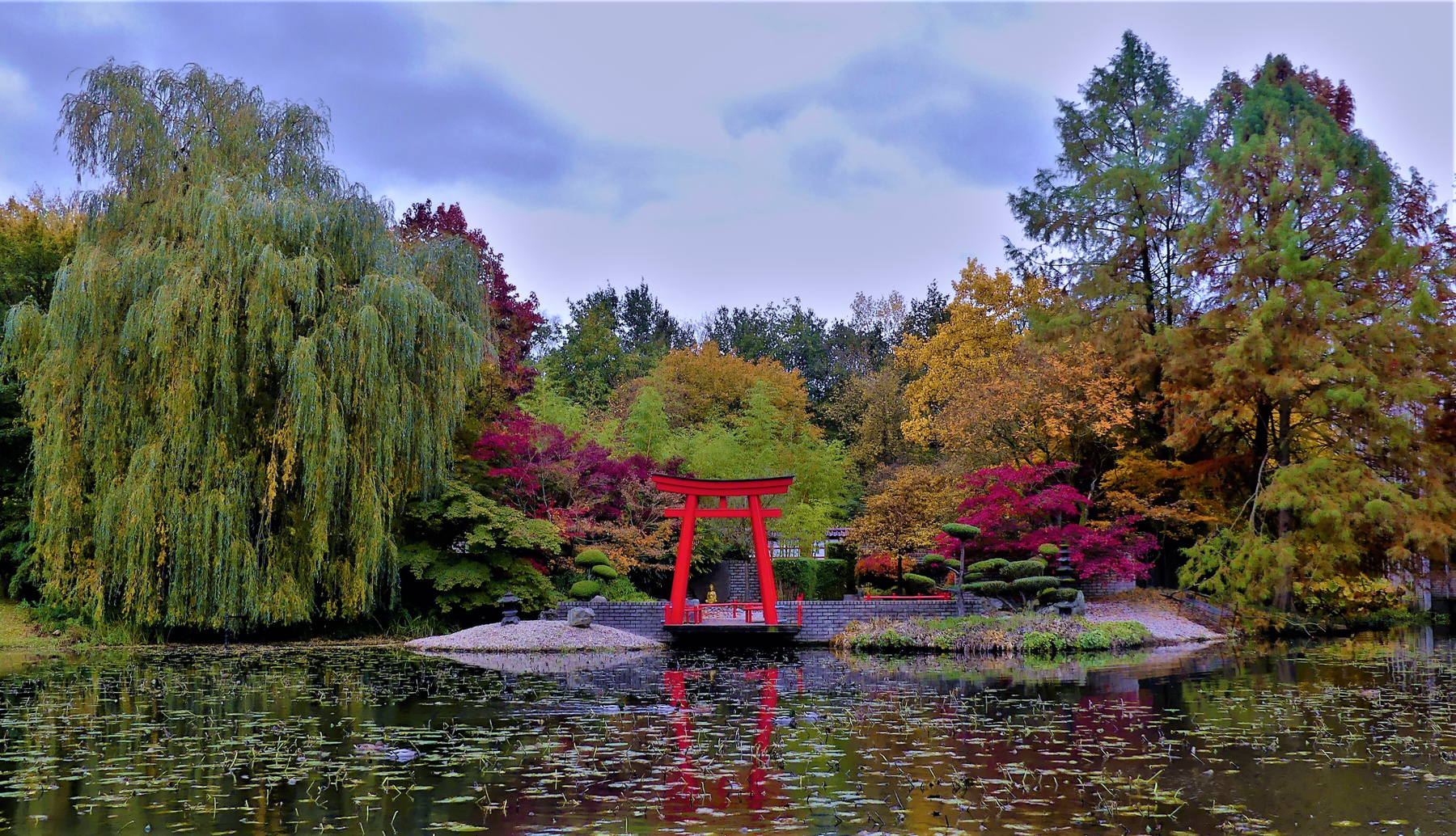 Японский сад Путешествия природа японский сад
