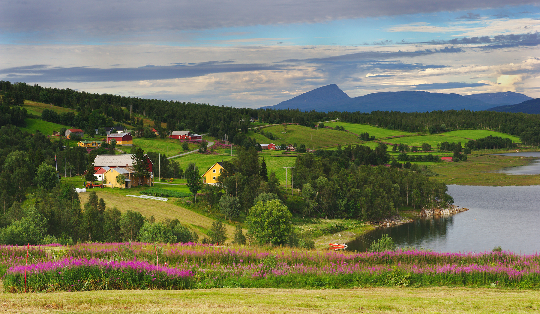 Недалеко от полярного круга норвегия фьорд берег поселок горы иван-чай лодка поля дороги