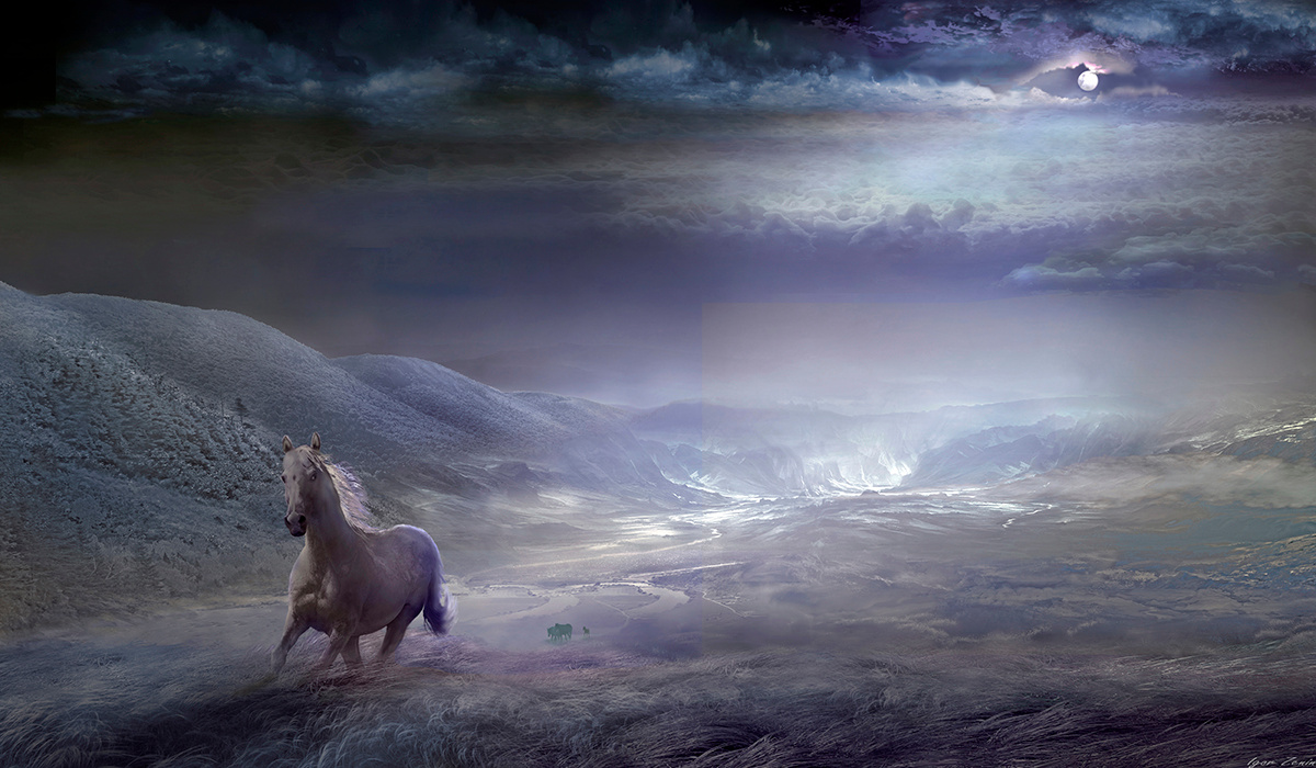 Ночь Ночь луна лошадь ковыль долина горы