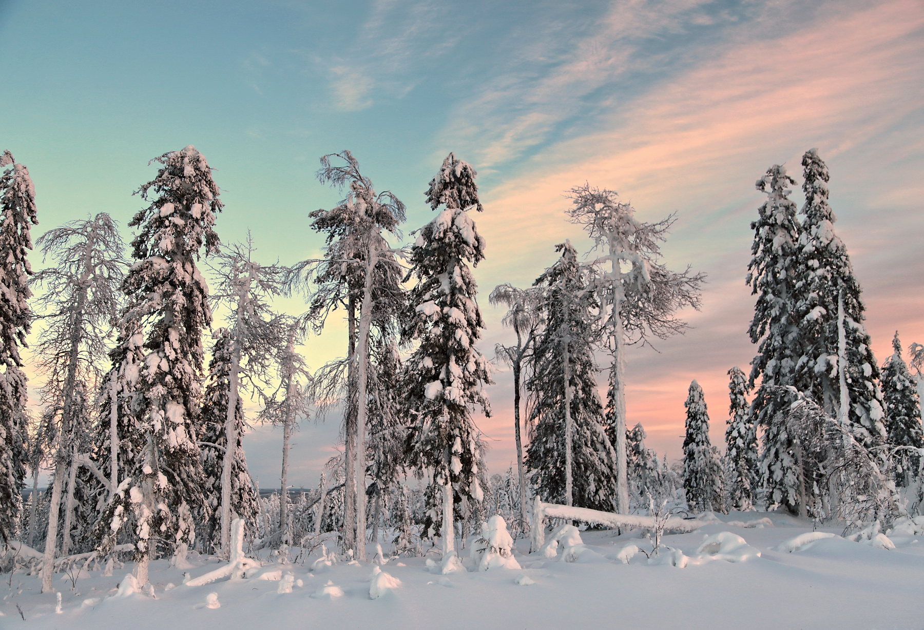 Зима в  стране Суоми (2) зима Финляндия Уккохалла