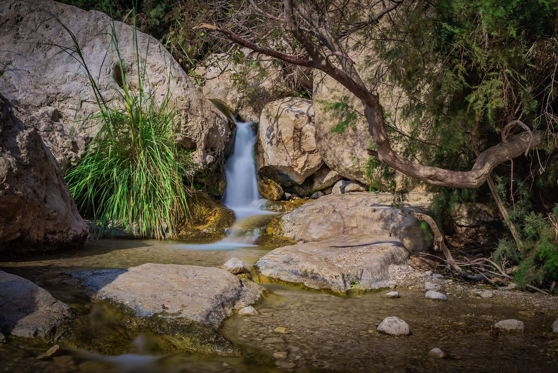 Водопадик. Пейзаж река горы ущелье Израиль пустыня Негев Мертвое море
