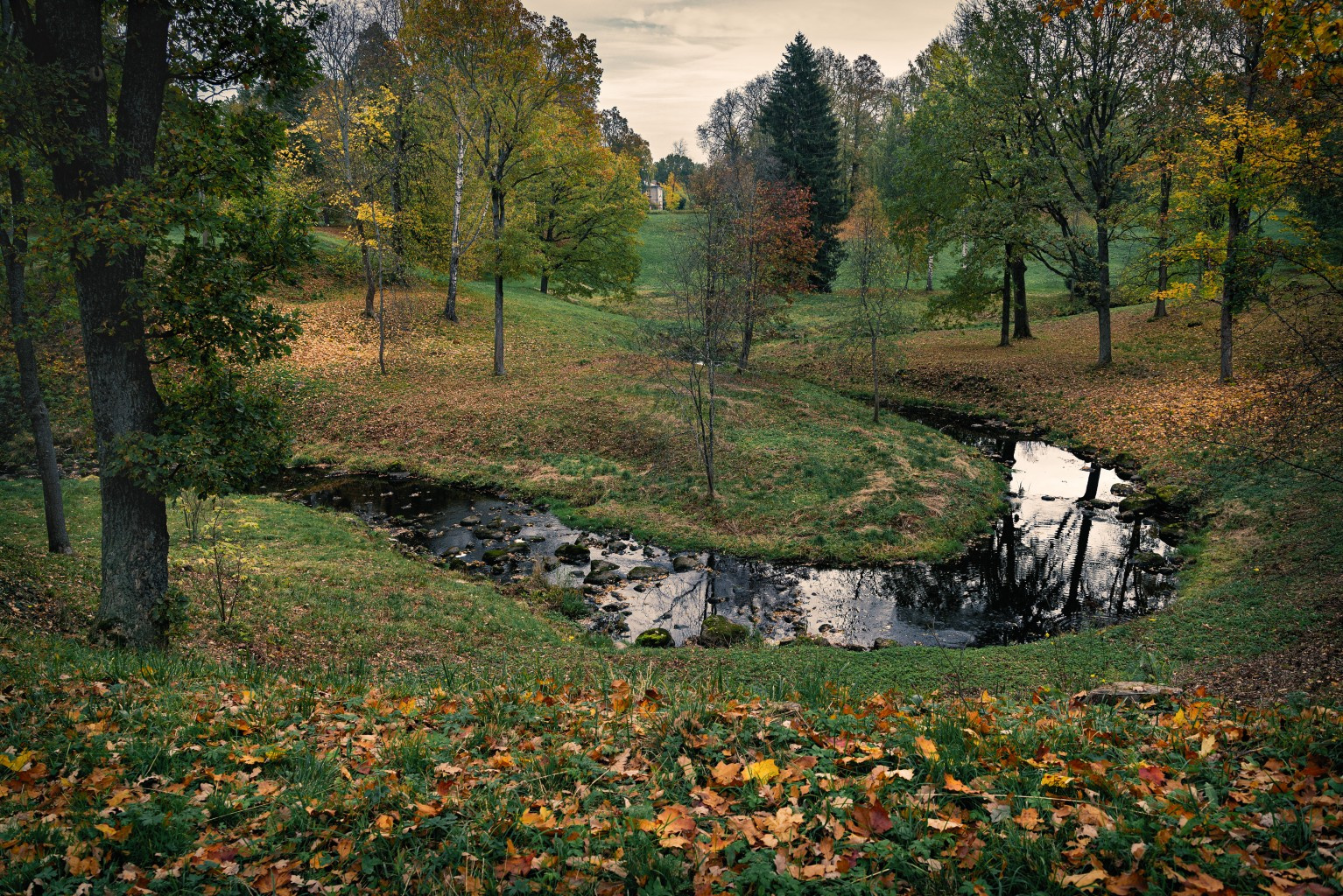 В парке Ораниенбаума петербург осень ораниенбаум река листва