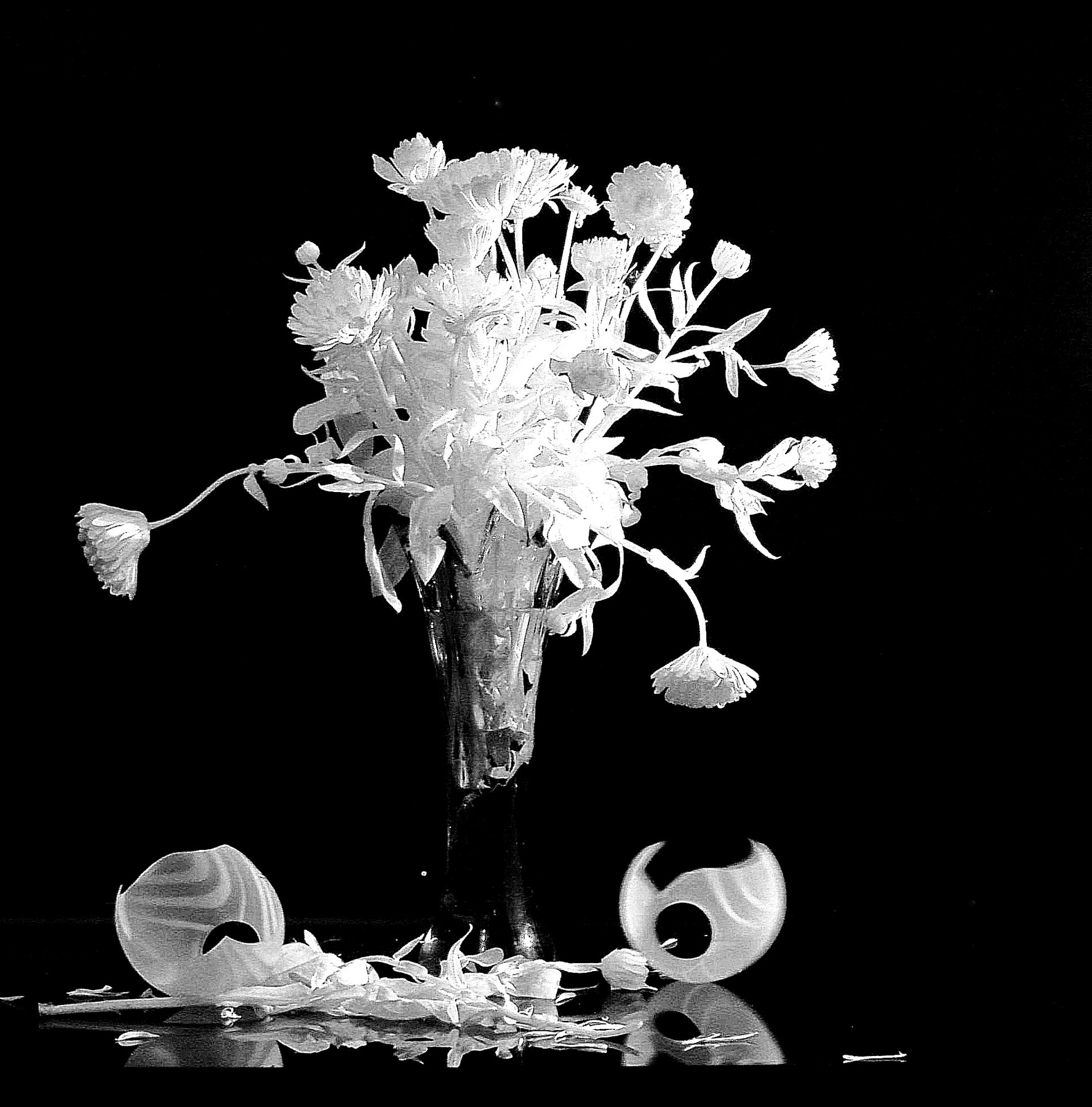 Осколки лета...и.. Инфракрасная чёрно-белая монохромная фотография infrared imaging