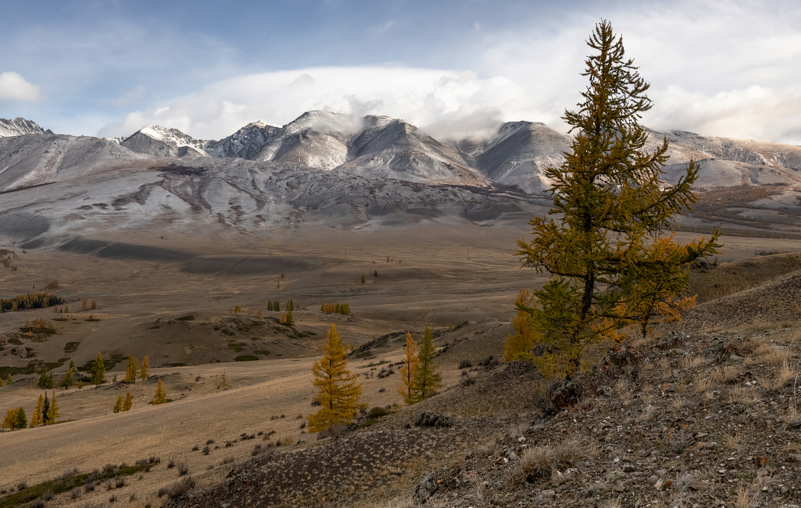 Осенние контрасты. Алтай Северо-Чуйский хребет Курайская степь