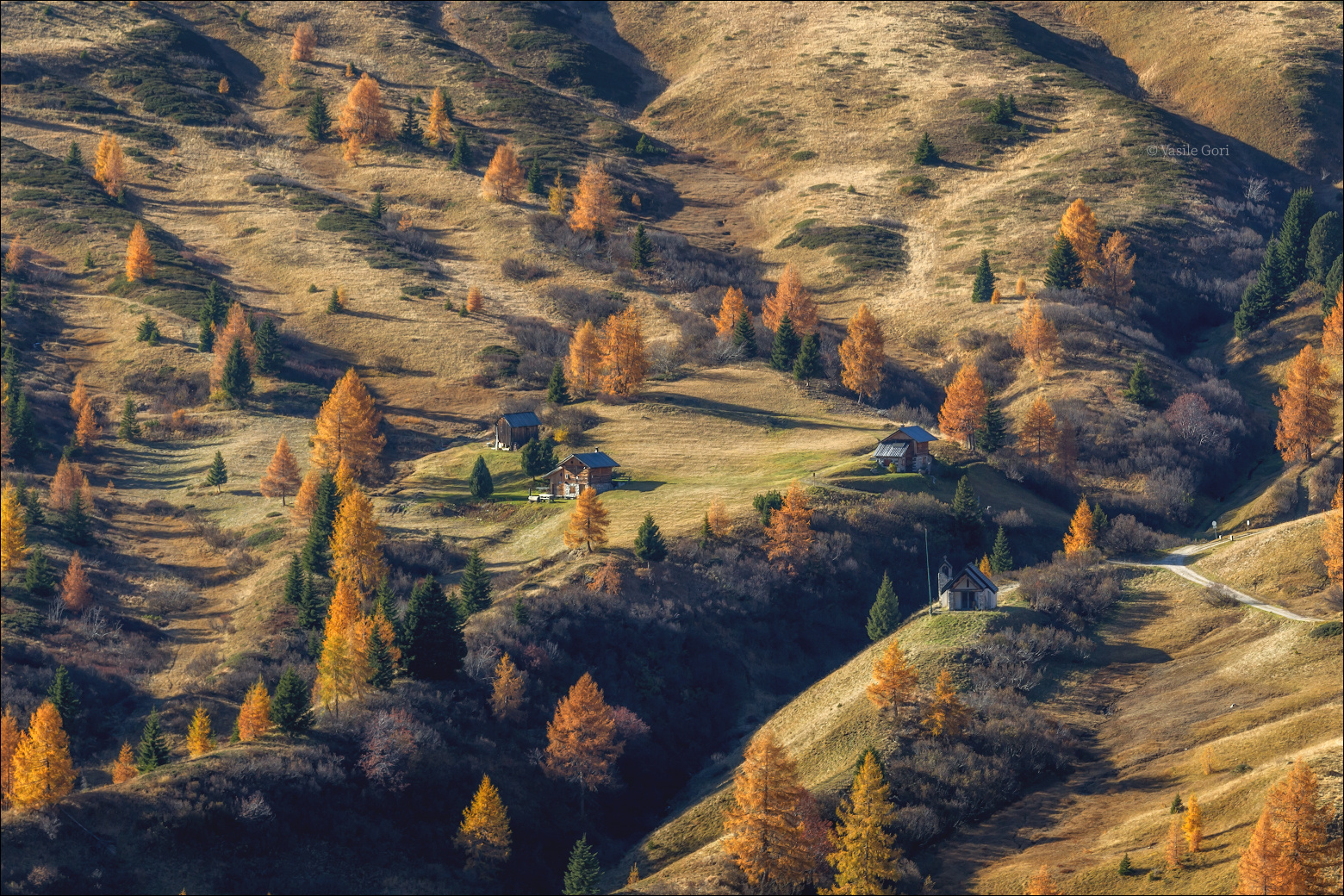 "Золото осени" доломитовые альпы свет passo giau осень вечер италия alps пейзаж лиственицы dolomites