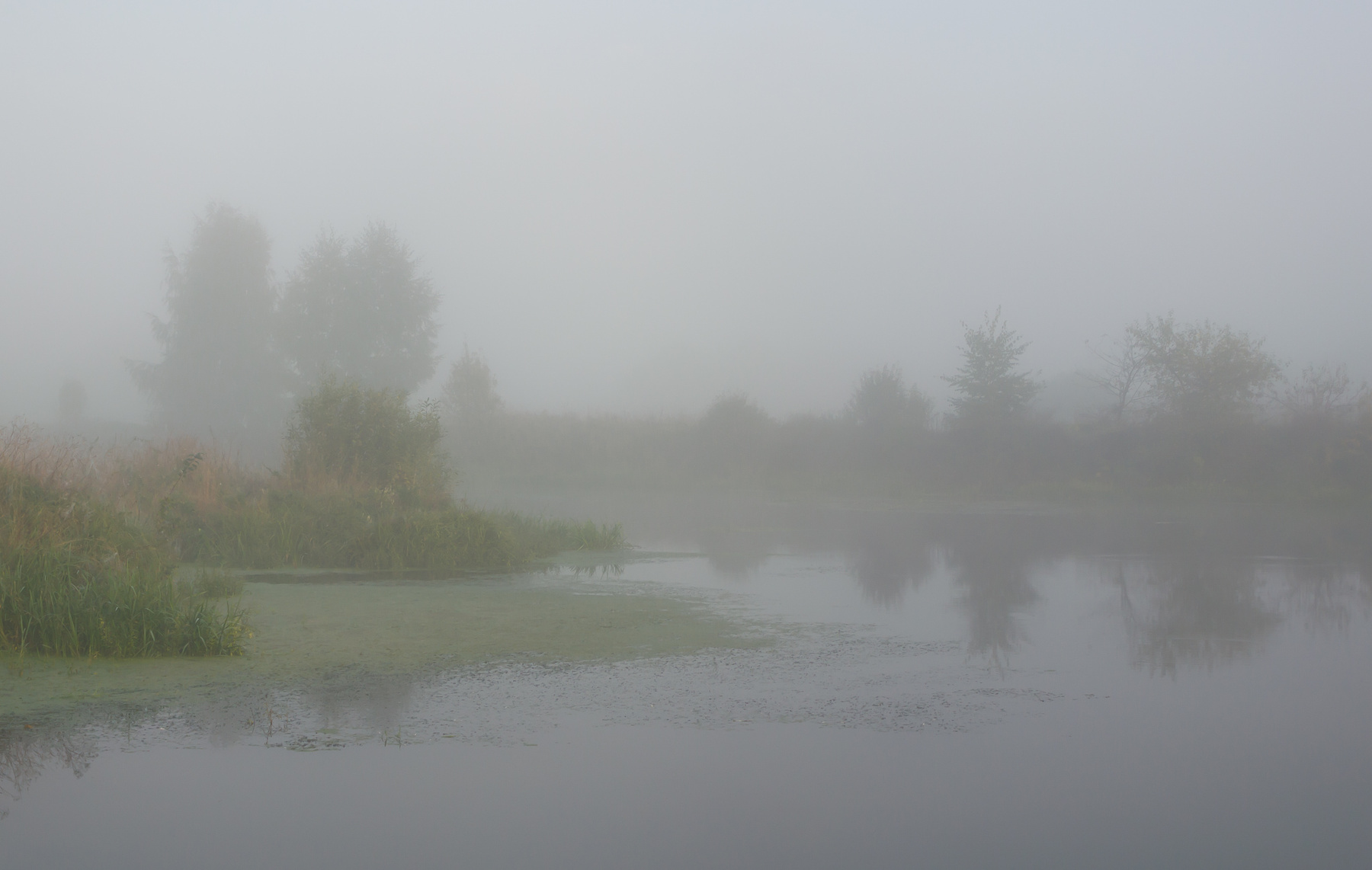 Сентябрьский туман утро туман река