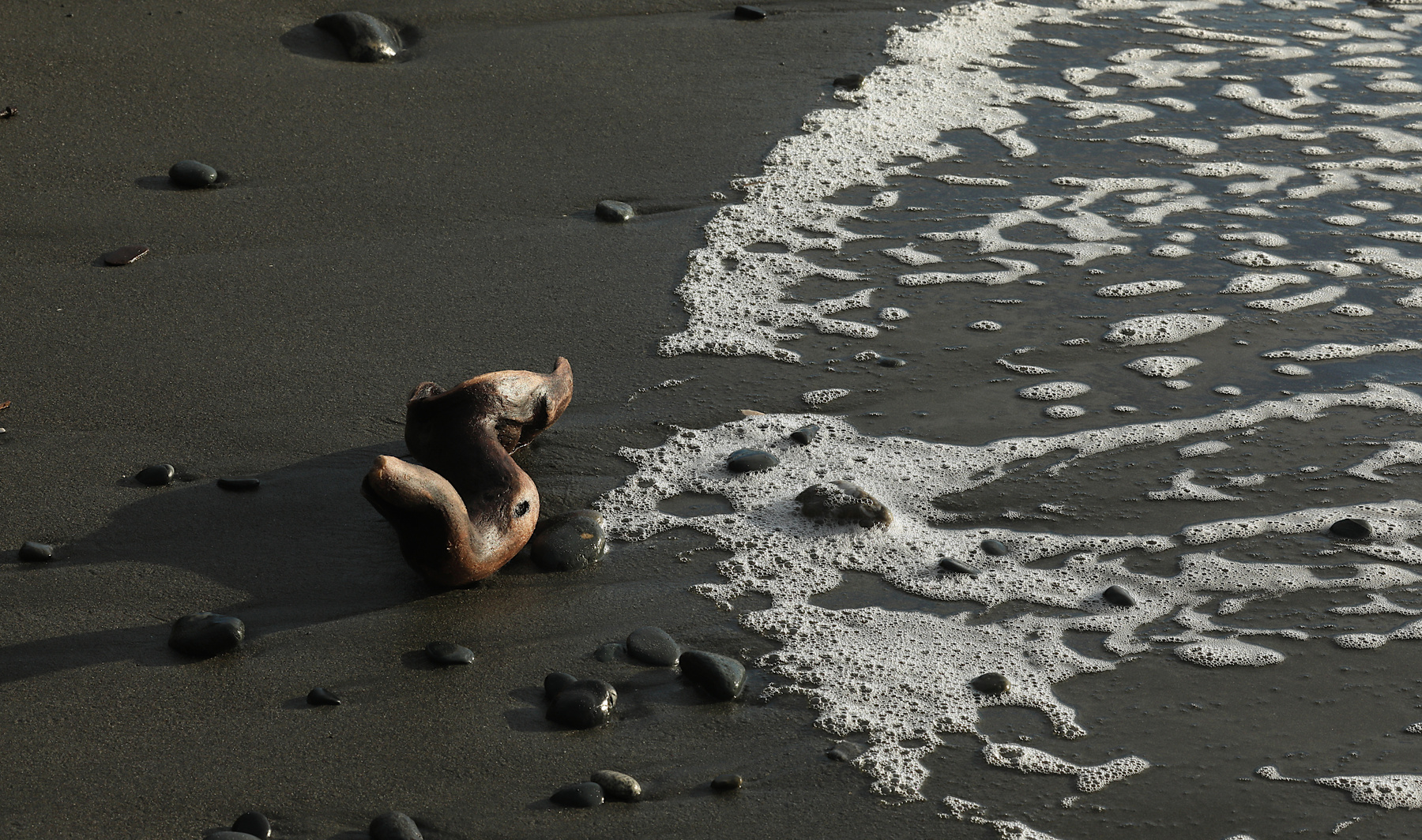 На берег вынесло коряга прибой песок пена пляж