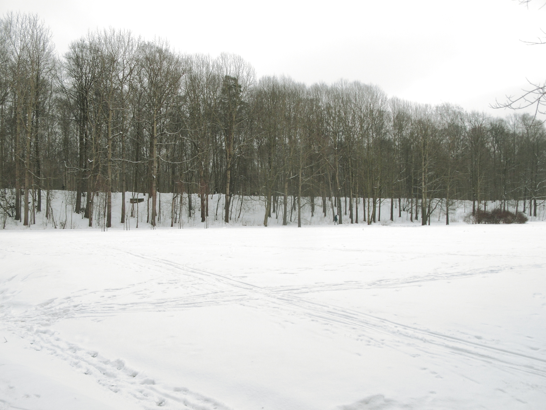 Зимний этюд зима природа Удельный парк