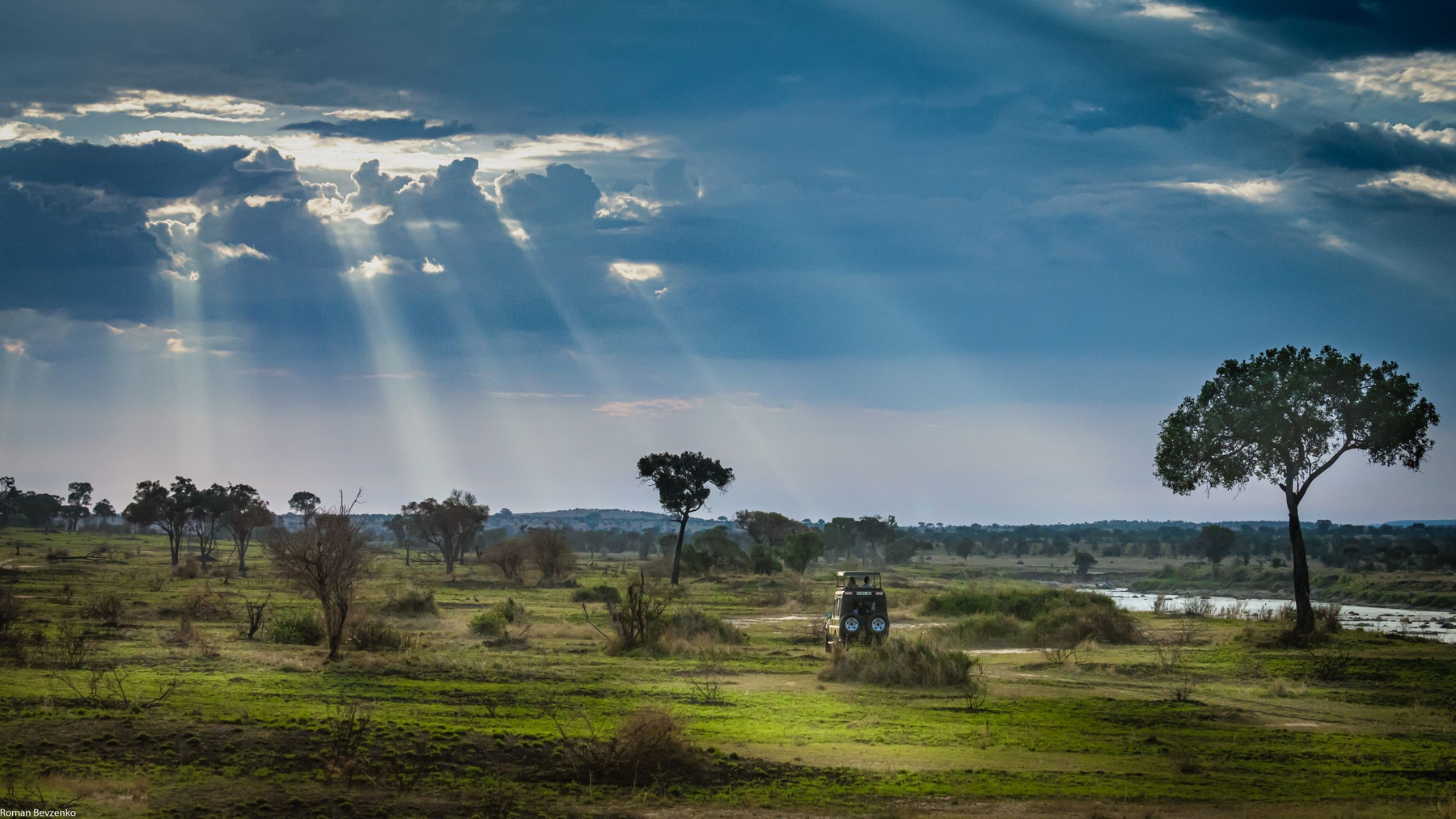 Вперед к приключениям сафари саванна Африка Танзания