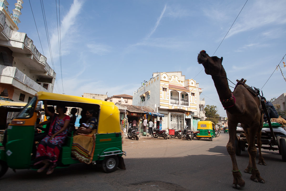 Индия. На улицах Патана верблюд индия рикша тук-тук Патан Гуджарат улица город